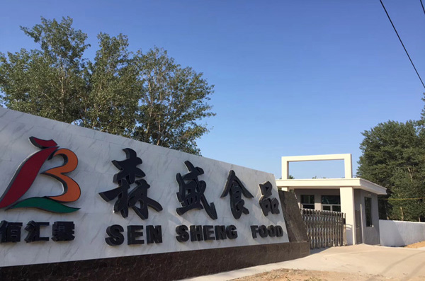 企业纵览